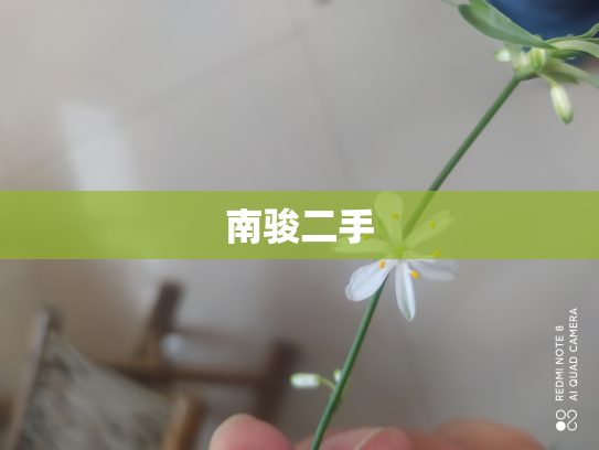 南骏二手