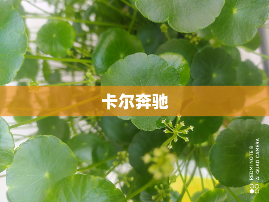 卡尔奔驰
