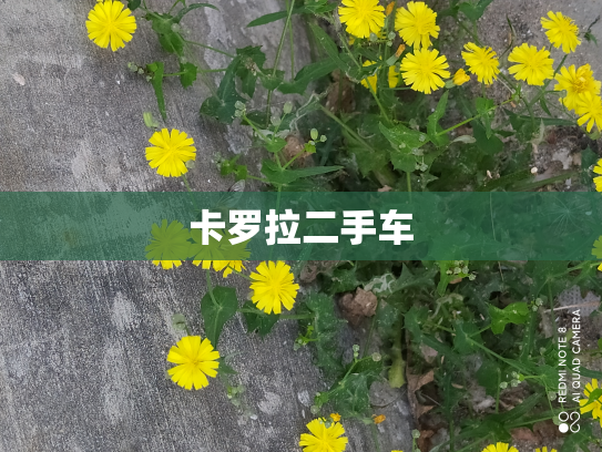 卡罗拉二手车