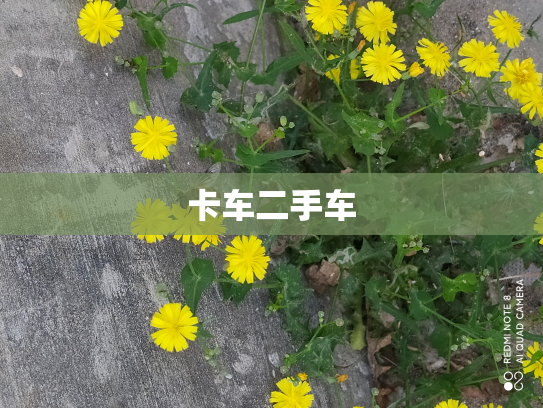 卡车二手车