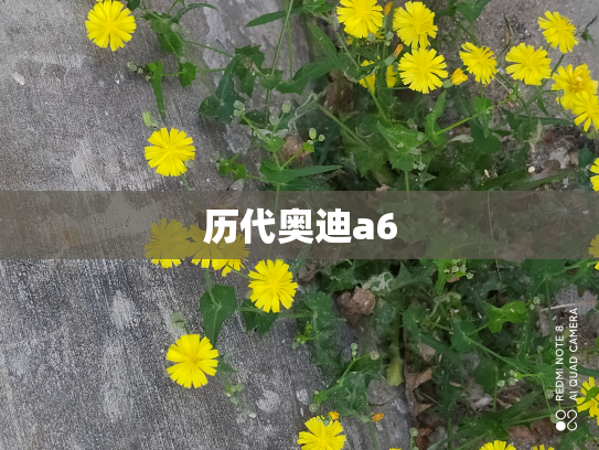 历代奥迪a6