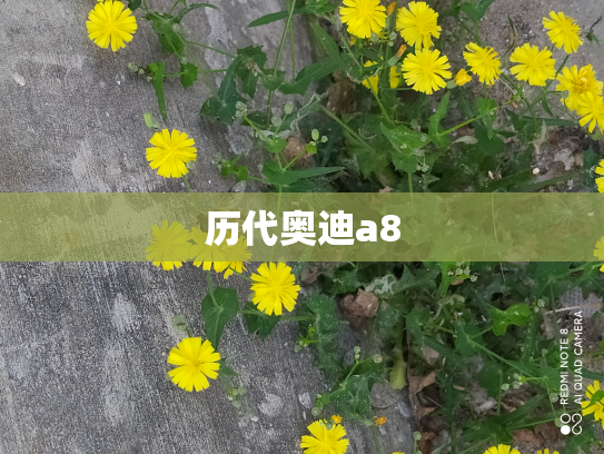 历代奥迪a8