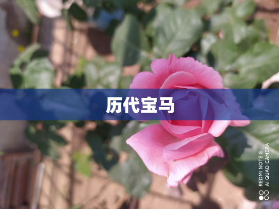 历代宝马