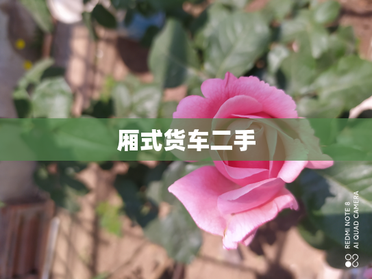 厢式货车二手