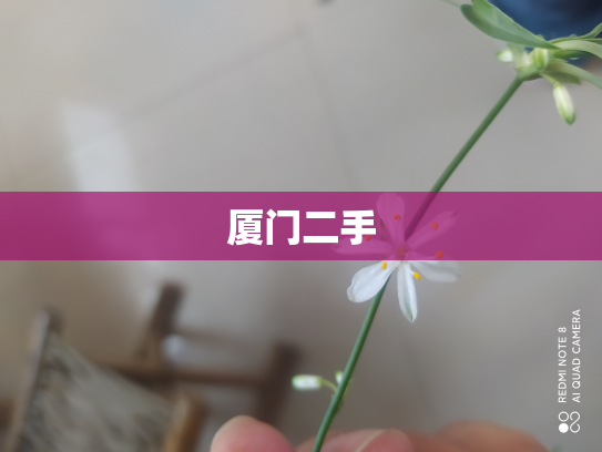 厦门二手