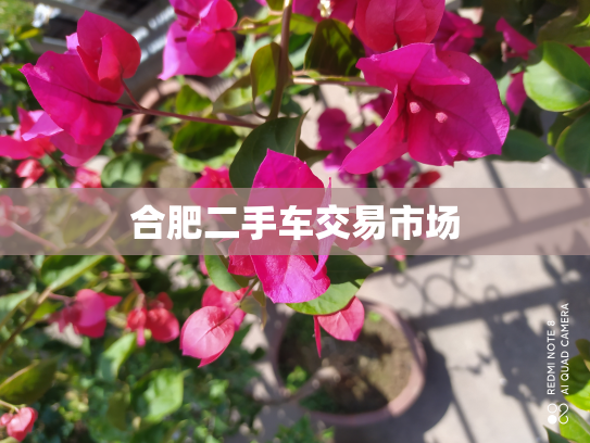 合肥二手车交易市场