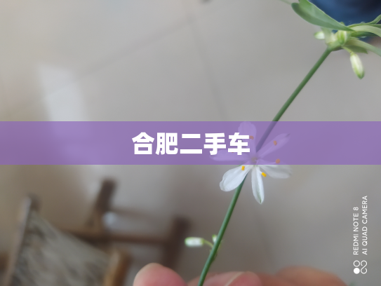 合肥二手车