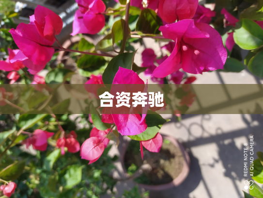 合资奔驰