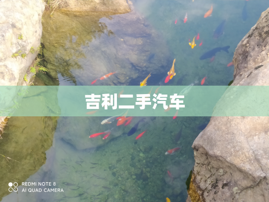 吉利二手汽车