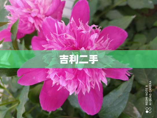 吉利二手