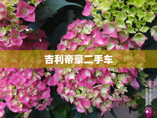 吉利帝豪二手车