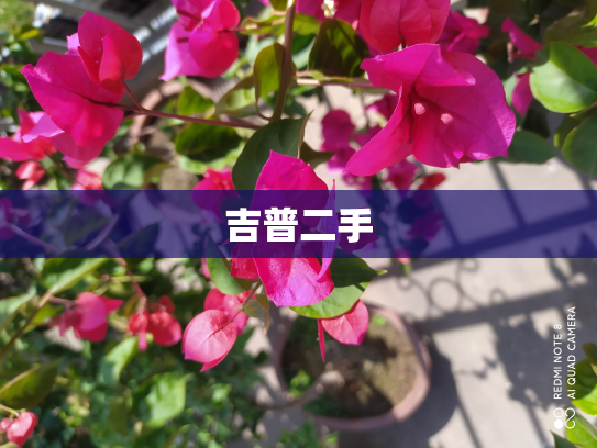 吉普二手