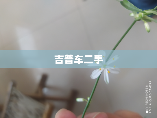 吉普车二手
