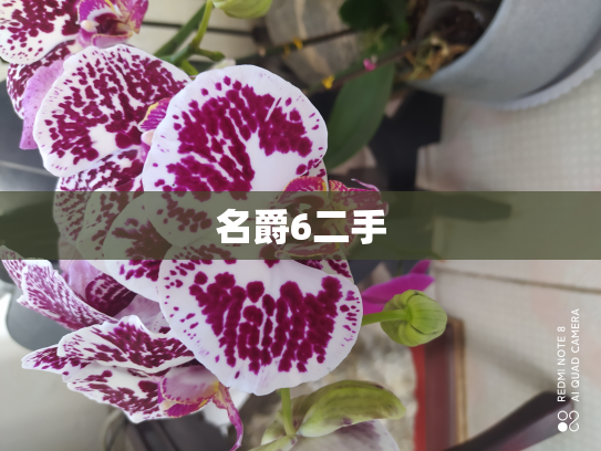 名爵6二手