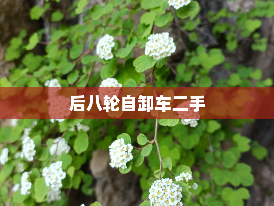 后八轮自卸车二手