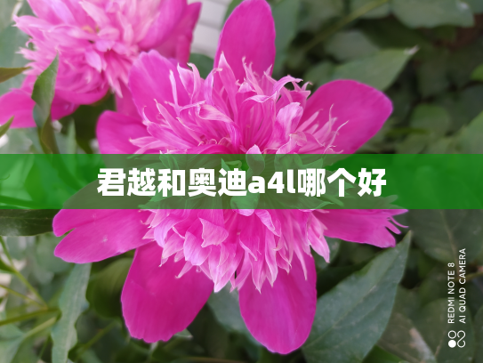 君越和奥迪a4l哪个好