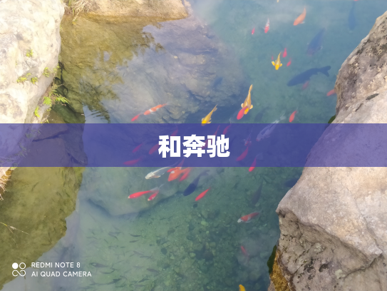 和奔驰