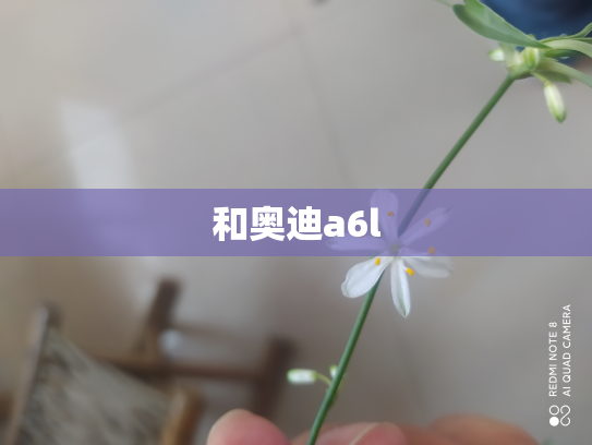 和奥迪a6l