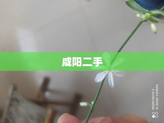 咸阳二手