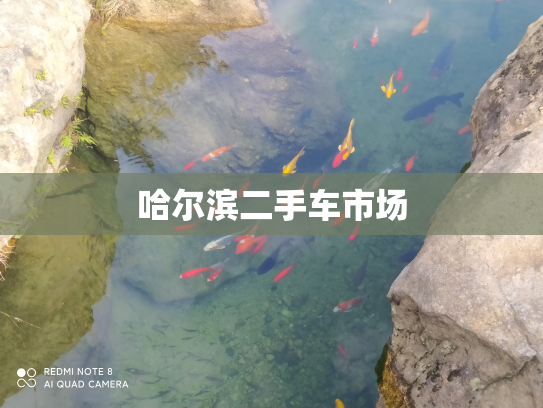哈尔滨二手车市场