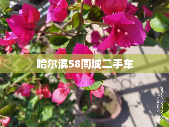 哈尔滨58同城二手车