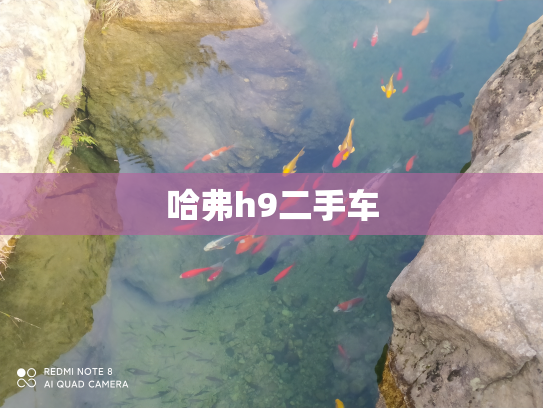 哈弗h9二手车
