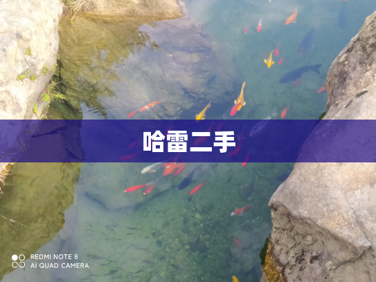 哈雷二手