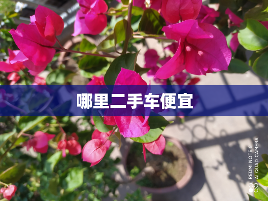 哪里二手车便宜