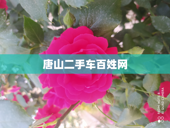 唐山二手车百姓网