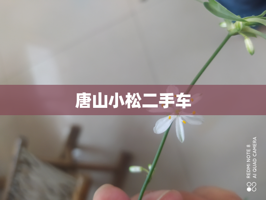 唐山小松二手车