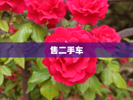售二手车