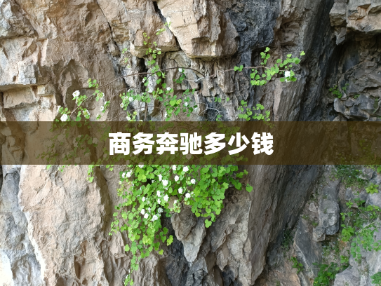 商务奔驰多少钱