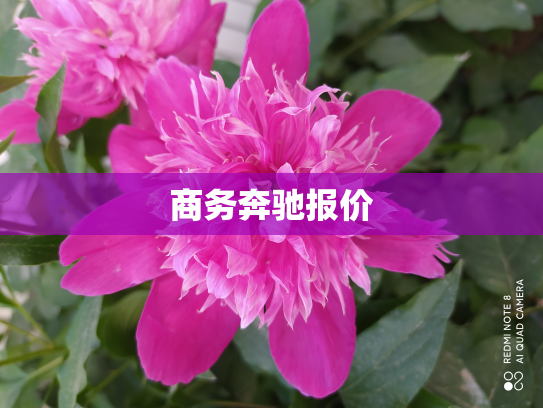 商务奔驰报价