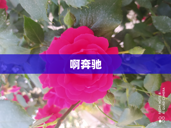 啊奔驰