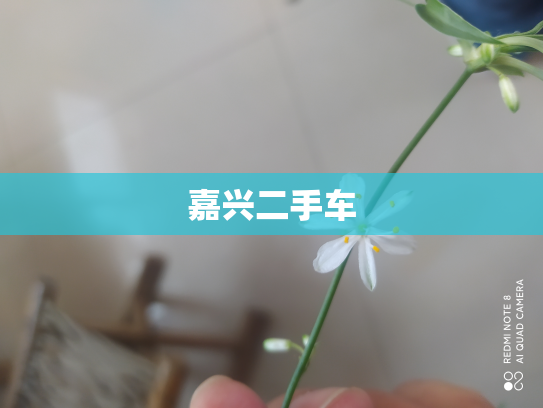 嘉兴二手车