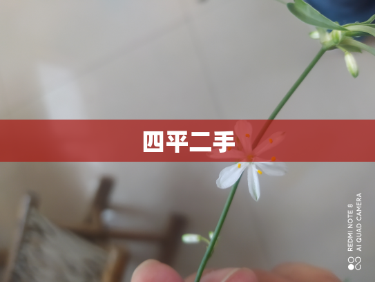 四平二手