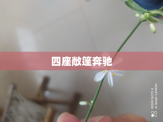 四座敞篷奔驰