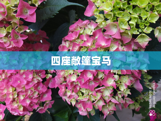 四座敞篷宝马