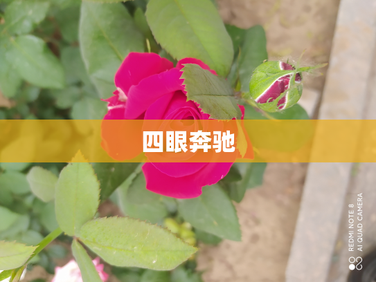 四眼奔驰