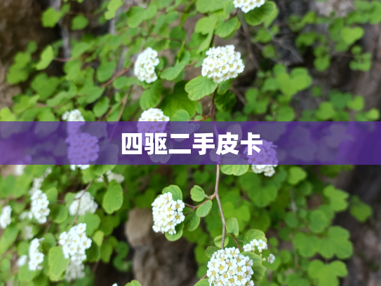 四驱二手皮卡