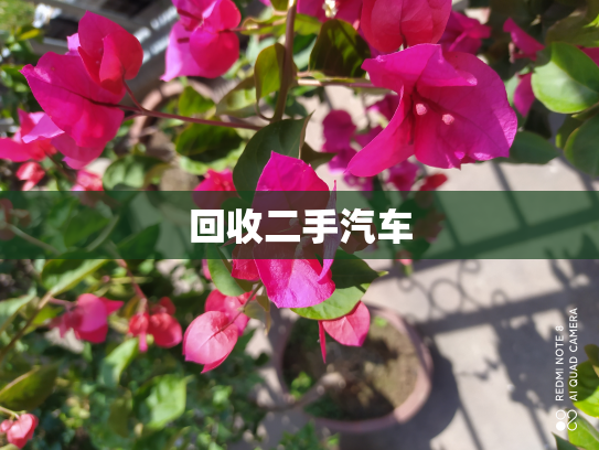 回收二手汽车