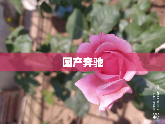 国产奔驰