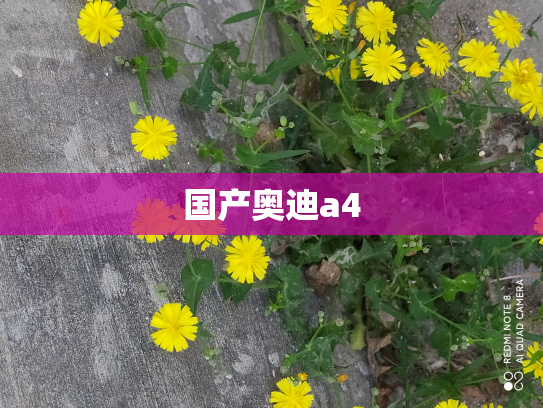 国产奥迪a4