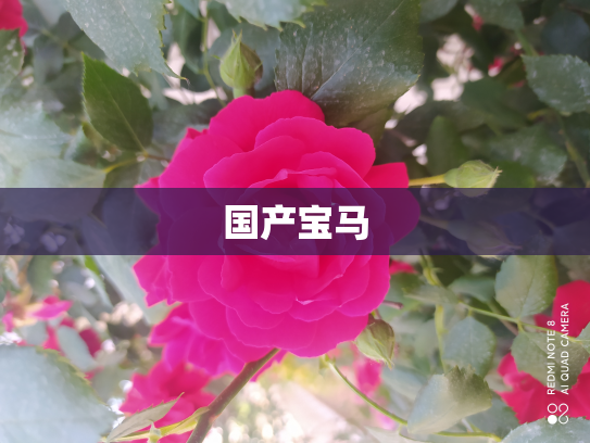 国产宝马