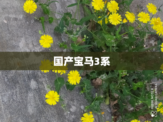 国产宝马3系