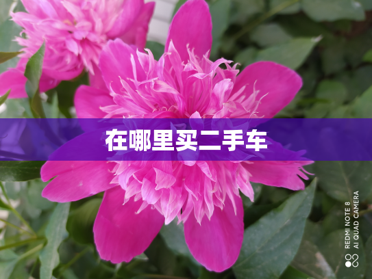 在哪里买二手车