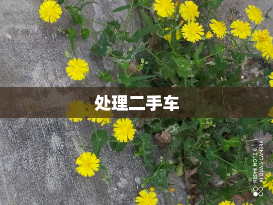 处理二手车