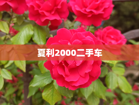 夏利2000二手车