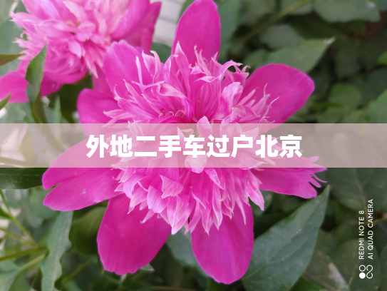 外地二手车过户北京