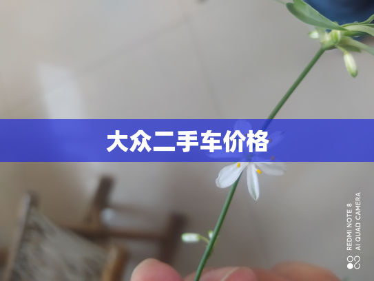 大众二手车价格